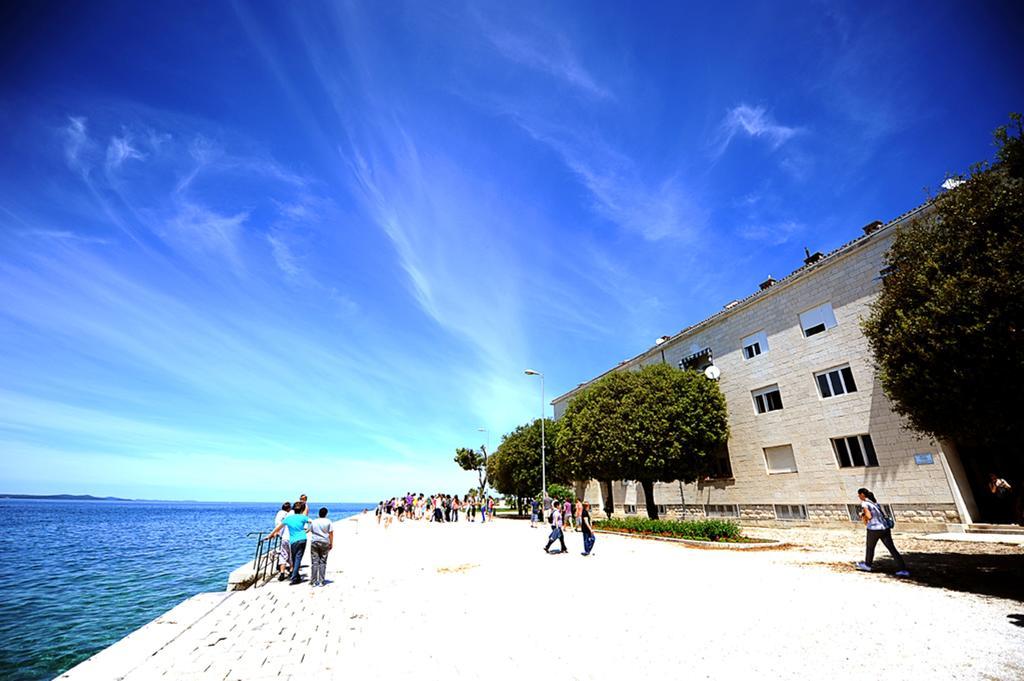 Apartments Sea Organ Zadar Cameră foto
